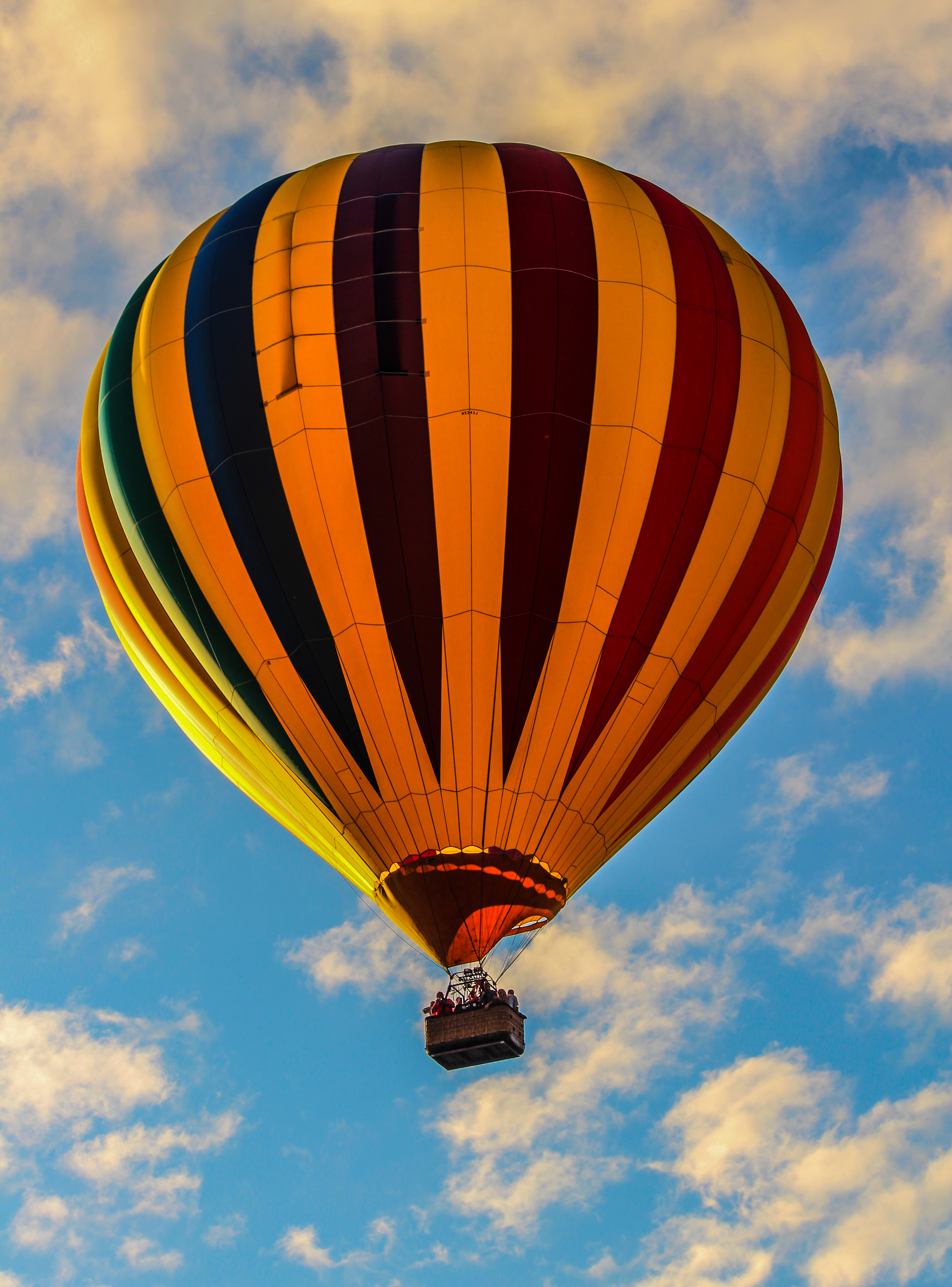 Hot air balloon in the sky